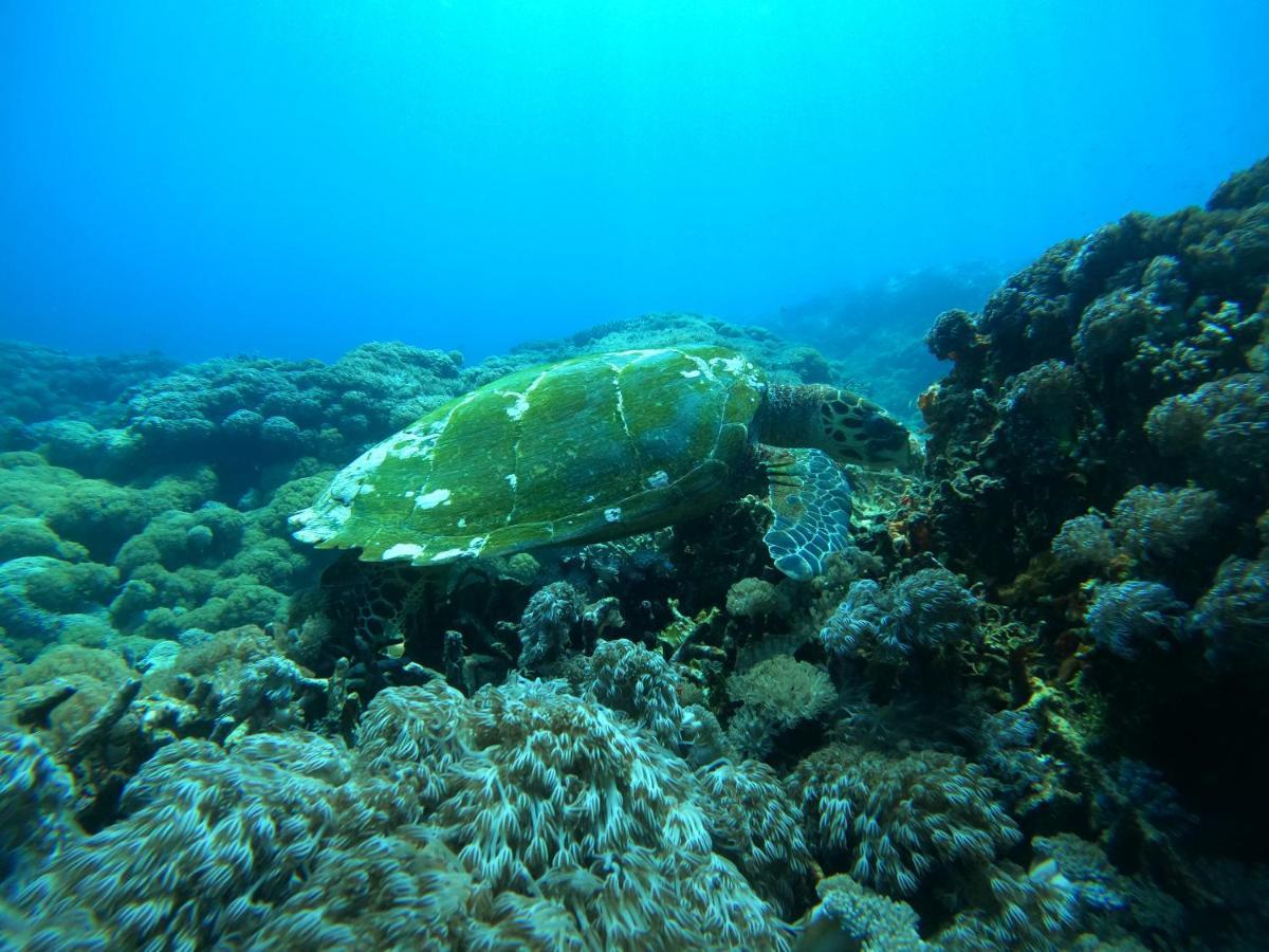 Lebaoh Nusa Cottage Lembongan Εξωτερικό φωτογραφία