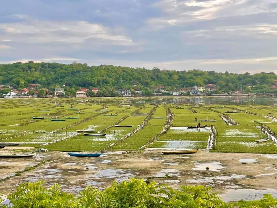 Lebaoh Nusa Cottage Lembongan Εξωτερικό φωτογραφία